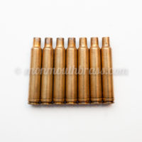 300 Weatherby Mag Brass
