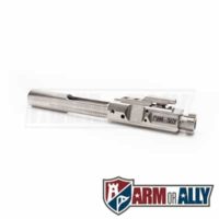 Arm or Ally ar10 nickel boron bolt carrier group