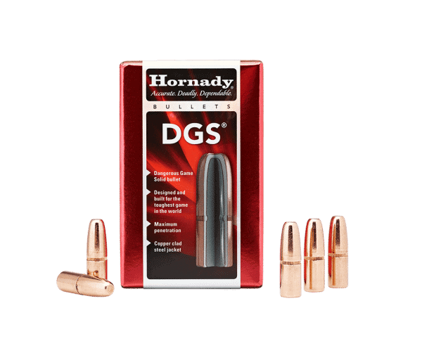 Hornady 9.3mm300gr DGS