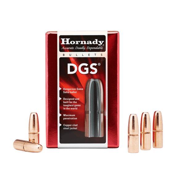 Hornady 9.3mm300gr DGS