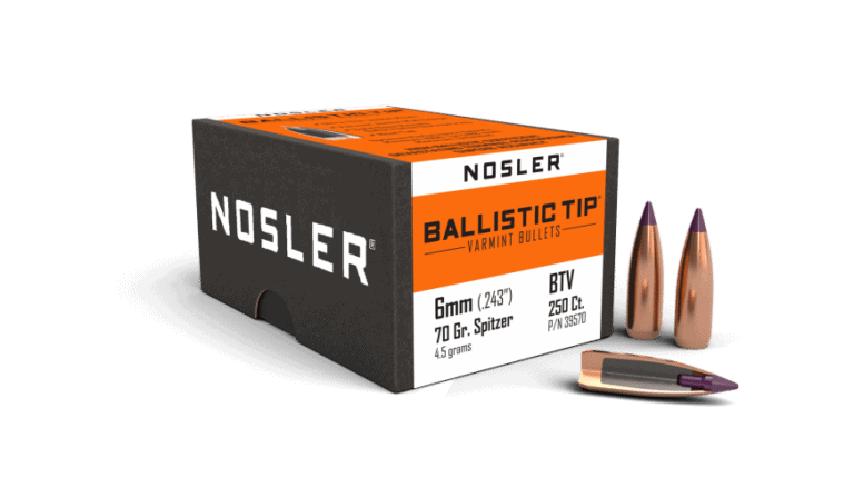 Nosler 6mm 70gr Ballistic Tip Varmint  (250ct) - BN39570