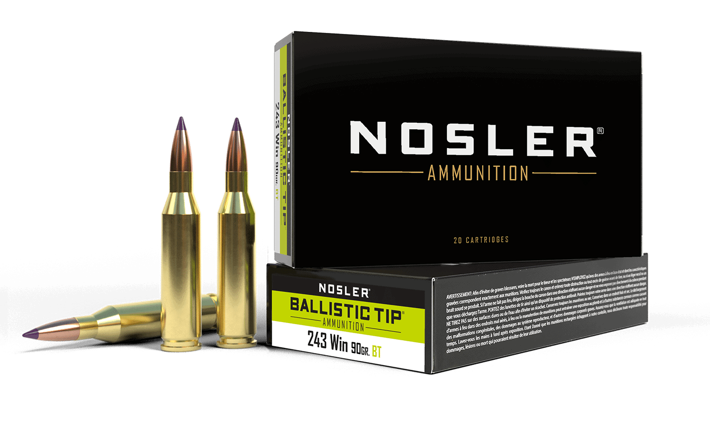 Featured image for “Nosler 243 Win 90gr Ballistic Tip Hunting Ammunition (20ct)”