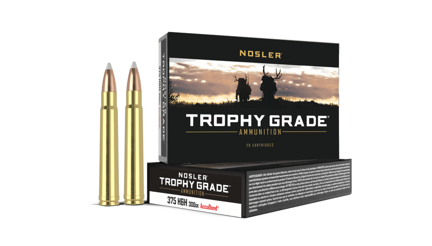 Nosler 375 H&H Mag 300gr AccuBond Trophy Grade Ammunition (20ct) - 60070