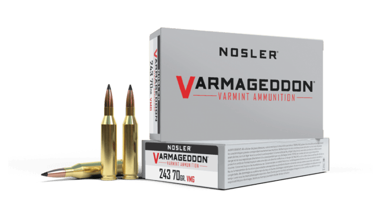 Nosler 243 Winchester 70gr FB Tipped Varmageddon Ammunition (20ct) - 61029